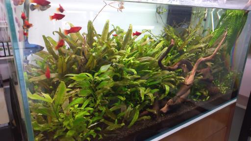 عکس آکواریوم جهان