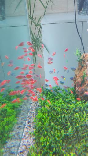 عکس آکواریوم جهان