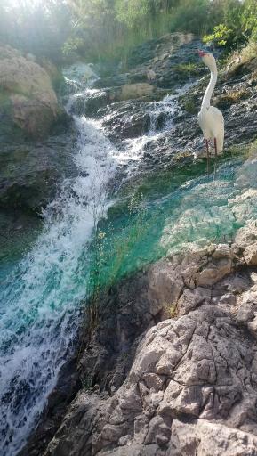 عکس پارک سرآسیاب