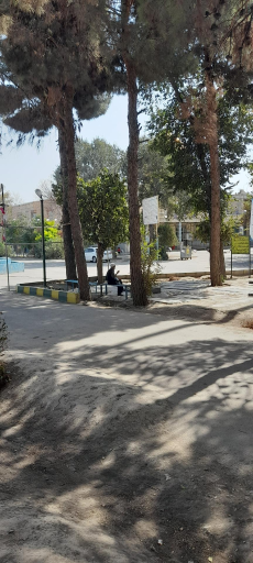 عکس آرامستان امامزاده حضرتین