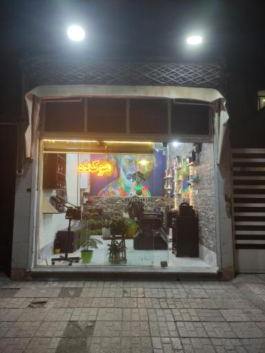 عکس موکده رضا