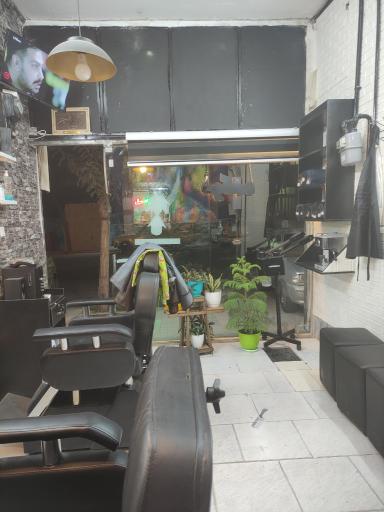 عکس موکده رضا