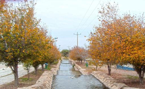 عکس پارک سرآسیاب