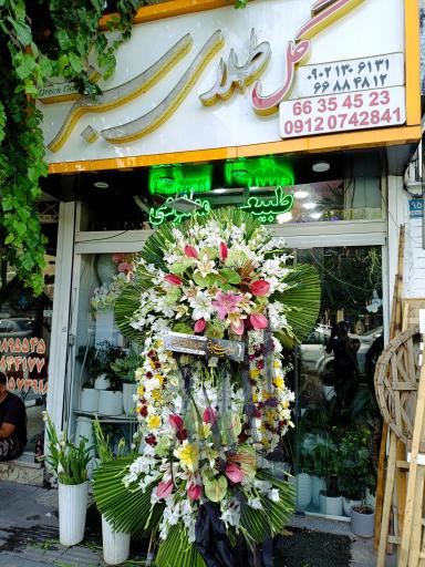 عکس گل فروشی گل طلای سبز 