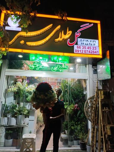 عکس گل فروشی گل طلای سبز 
