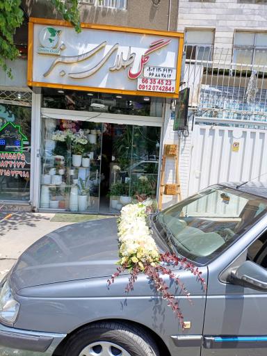 عکس گل فروشی گل طلای سبز 