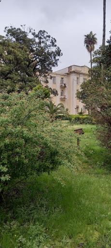 عکس دانشگاه مازندران