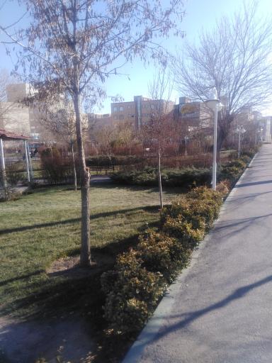 عکس پارک شاهیده