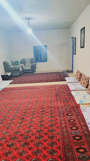 عکس اولکام گرکز 