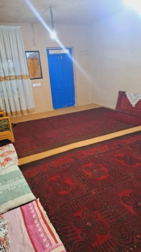 عکس اولکام گرکز 