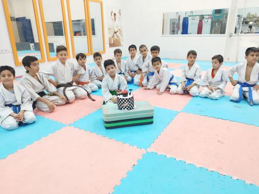 عکس آکادمی کاراته آقای ورزش