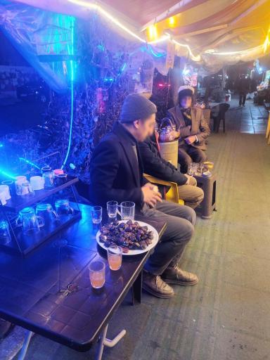 عکس پیتزا تام