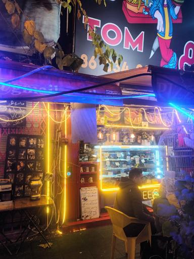 عکس پیتزا تام