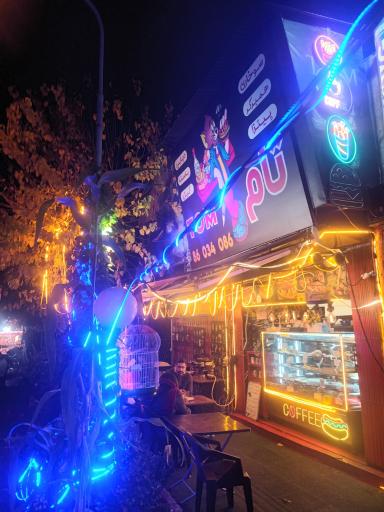 عکس پیتزا تام