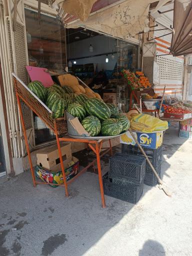 عکس میوه و سبزی ساحل