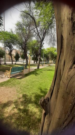 عکس پارک جوادالائمه