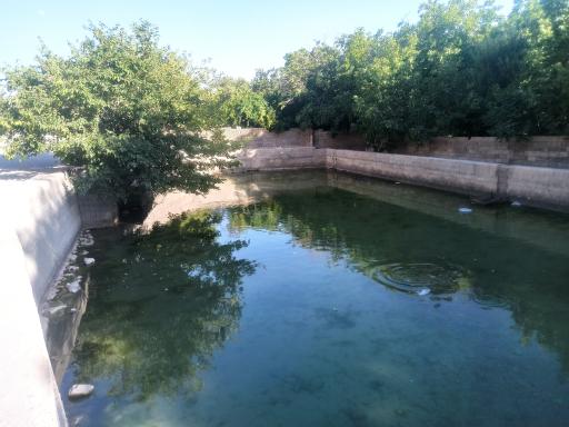 چشمه حوض ماهی