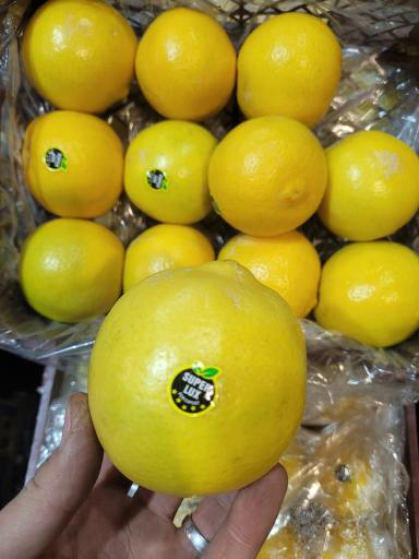 عکس حق العمل کاری جلیل محمودی و پسران