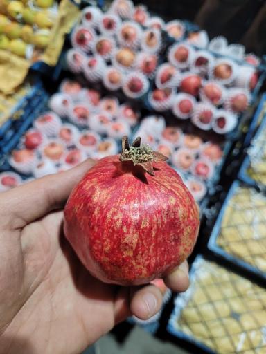 عکس حق العمل کاری جلیل محمودی و پسران