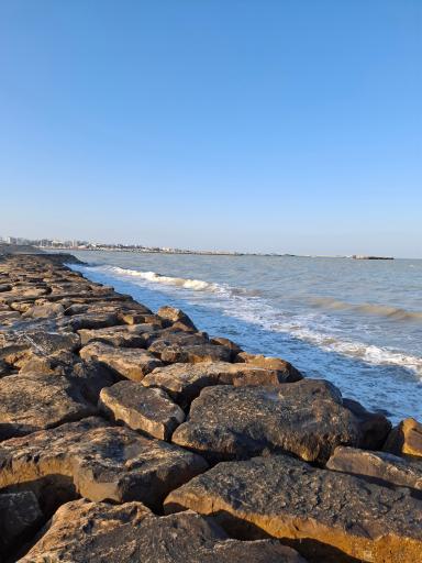 عکس نماد نام بوشهر