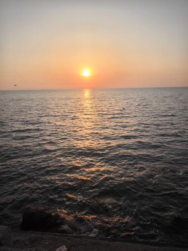 عکس نماد نام بوشهر