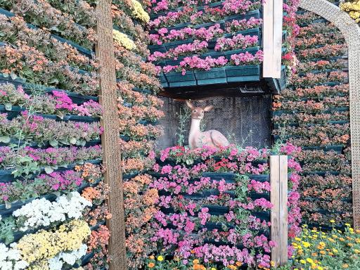 عکس صحن بعثت