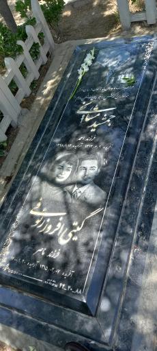 عکس مزار جمشید مشایخی