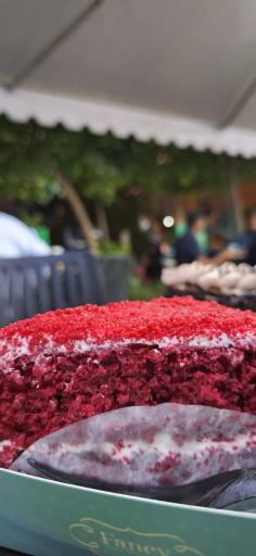 عکس فنسی شعبه دوم