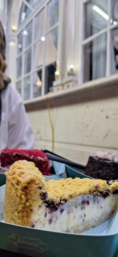 عکس فنسی شعبه دوم