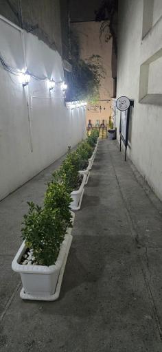 عکس عمارت پارسا