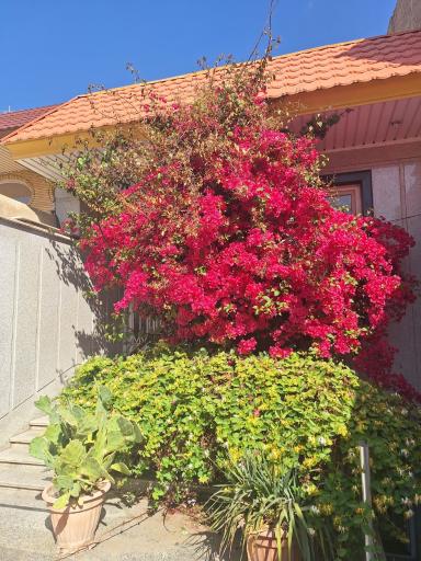 عکس مطب مامایی آفرینش فاطمه علیان نژاد