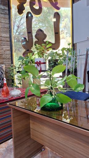 عکس چای سرای پاشا