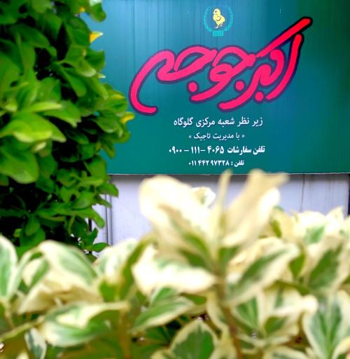 عکس رستوران اکبرجوجه شعبه آمل