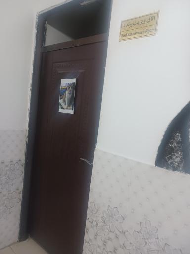 عکس کلینیک و پت شاپ دکتر مقدم شعبه ۲