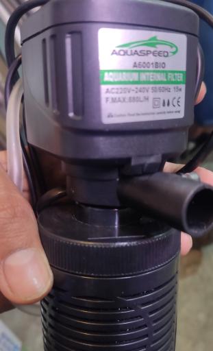 عکس ماهی آکواریومی آکواکوبیک