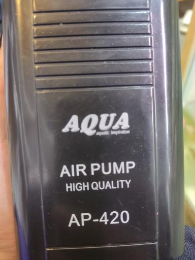 عکس ماهی آکواریومی آکواکوبیک