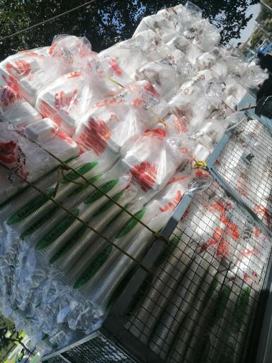 عکس ظروف یکبار مصرف واران