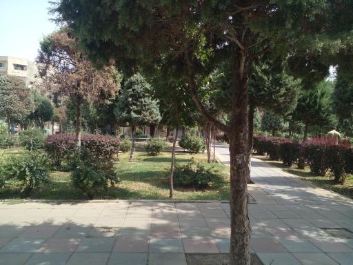 عکس پارک بهار