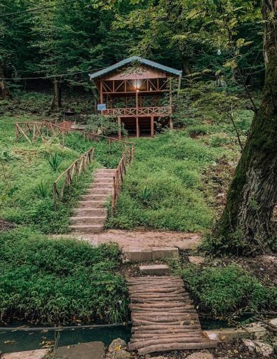 عکس پارک جنگلی درنیکا