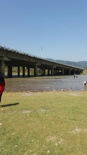 عکس پارک جنگلی درنیکا