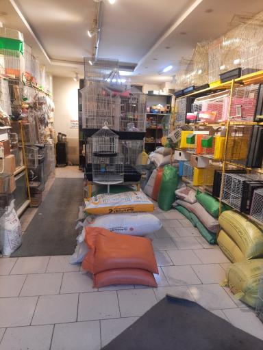 عکس پرنده سرای دایی