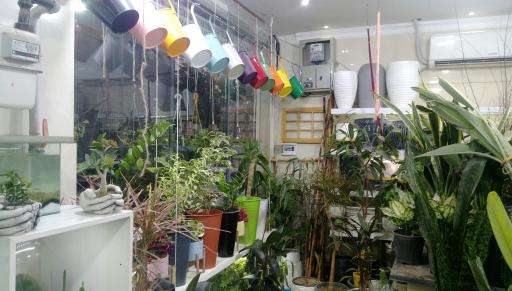 عکس فروشگاه گل و گیاه سارگل