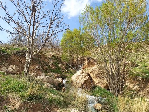 عکس چشمه‌های دره قنات (چشمه خورده‌ها)