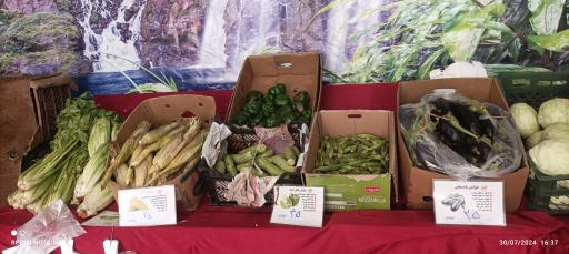 عکس بازار میوه نامجو