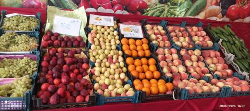 عکس بازار میوه نامجو