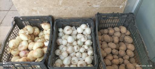 بازار میوه نامجو