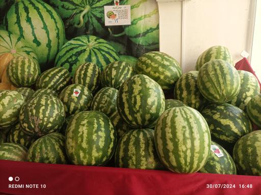 عکس بازار میوه نامجو