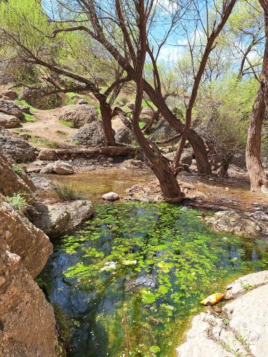 عکس آبشار طلایی (دره گرم)