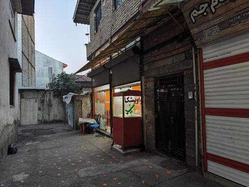 واویشکا سید