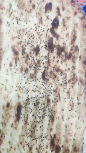 عکس نان بربری آزادپز